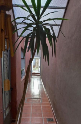 Coronel Suarez 450 Junín Casa 4 con Dep.  ambientes  En Venta -2