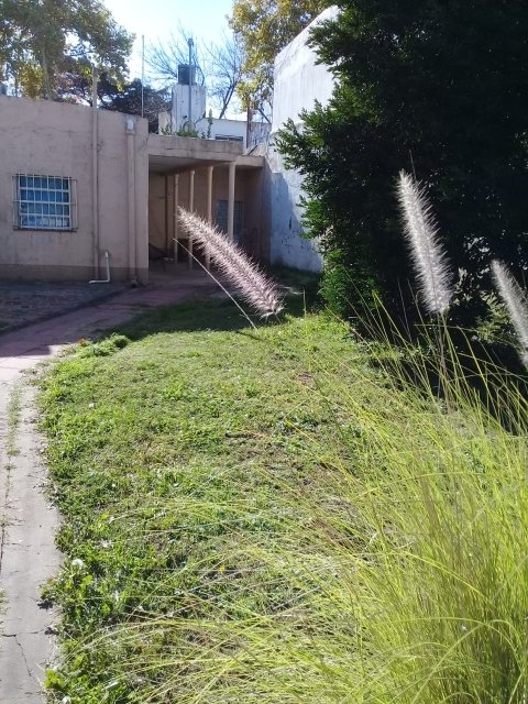 J. Newbery 75 Junín Casa 3  ambientes  En Venta -5
