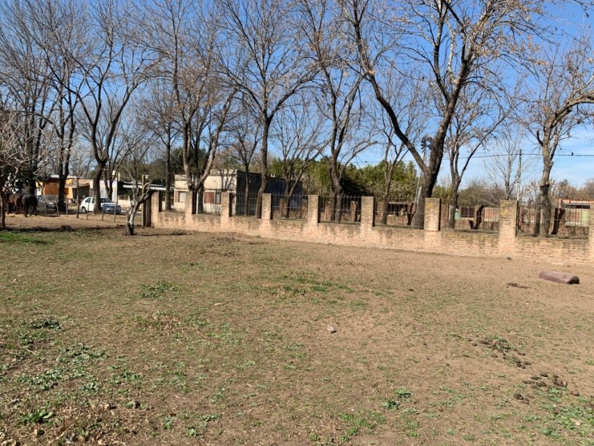 Calle 6 & Calle 11 - Agustina Junín Terreno 0  ambientes  En Venta -1