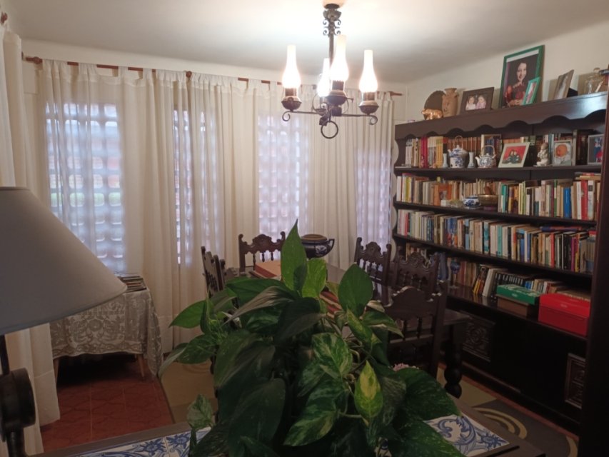 Caseros S/N Junín Quinta o casa de campo 6  ambientes  En Venta -12