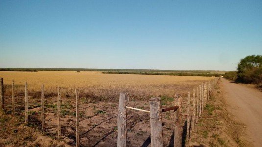 Rio Hondo - Termas de Rio Hondo Campo 0  ambientes  En Venta -0