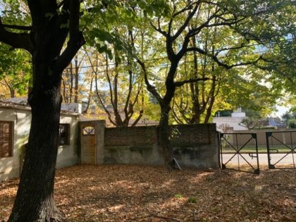 En Venta - RETASADA!!! Antigua Casona en Agustina, Partido de Junin (Bs As)