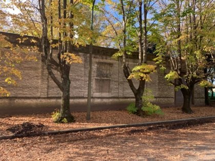 En Venta - RETASADA!!! Antigua Casona en Agustina, Partido de Junin (Bs As)