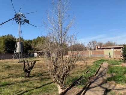 CALIDA CASA DE PUEBLO CON GRAN SUPERFICIE Y PILETA EN AGUSTINA (BA).