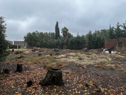 Terreno en Fortín Tiburcio con casa a refaccionar o demoler.