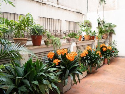 Excelente departamento 2 Ambientes Contra frente. en  RECOLETA